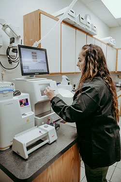 Bay Ridge Animal Hospital Lab