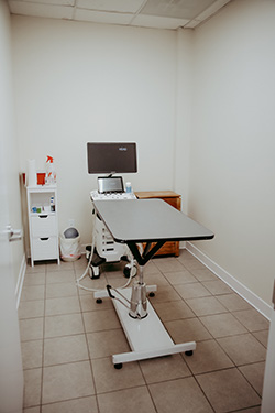Bay Ridge Animal Hospital ultrasound room