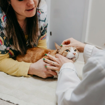 Preventative Care