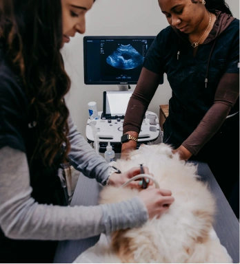 Diagnostic Care