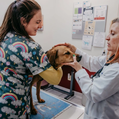 Therapeutic Care