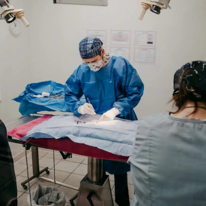 Veterinary Pet Surgery