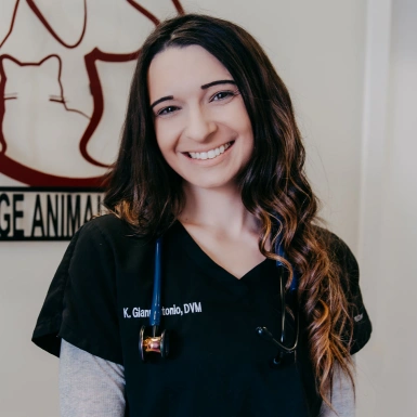 Dr. Kristen Giannantonio
