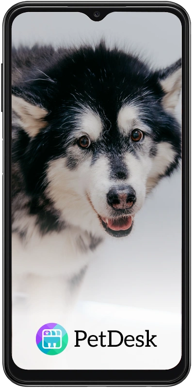 Our PetDesk App