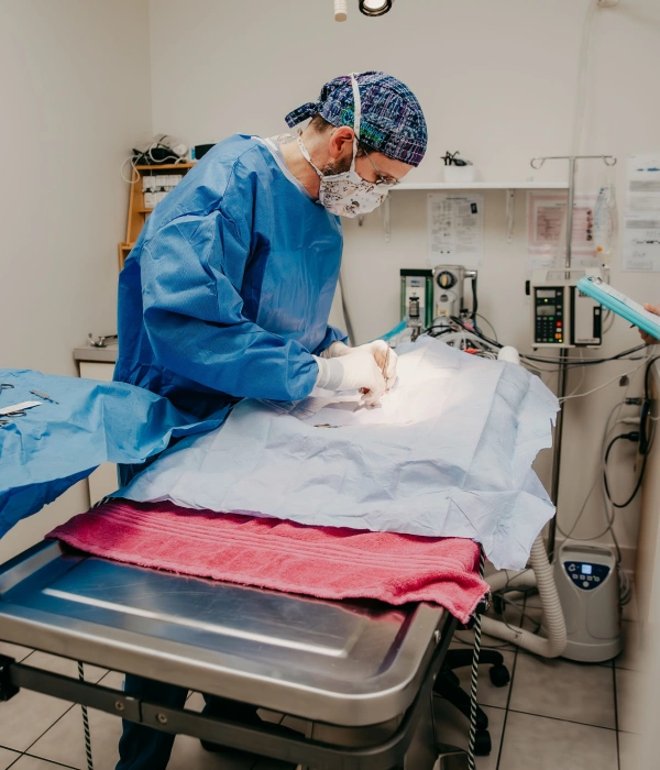 Veterinary Pet Surgery