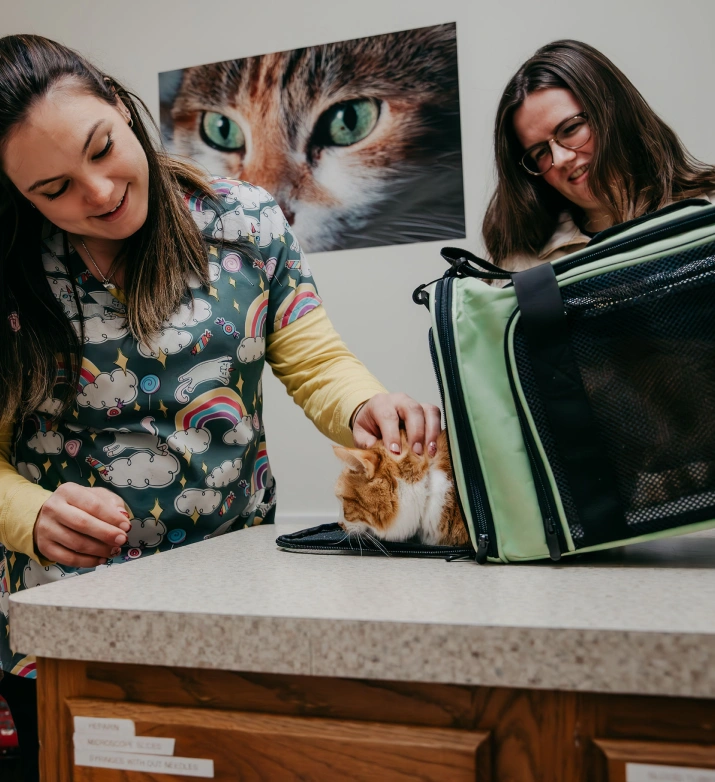 We’re Excited to Meet You & Your Pet