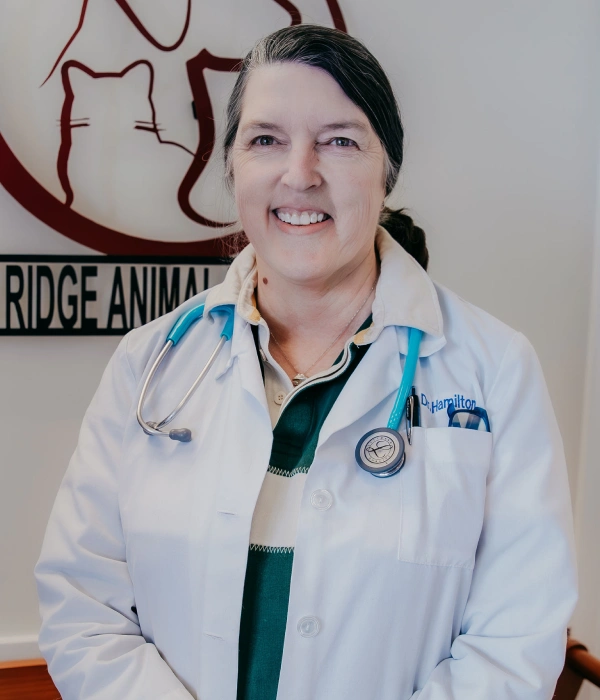 Dr. Kathryn Hamilton