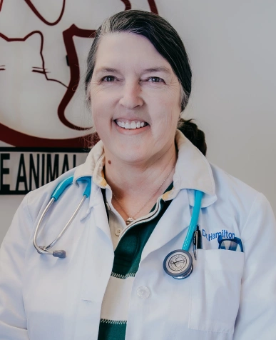 Dr. Hamilton