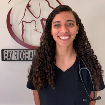 Dr. Peprah